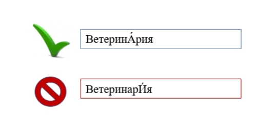 Хитом или хитом ударение