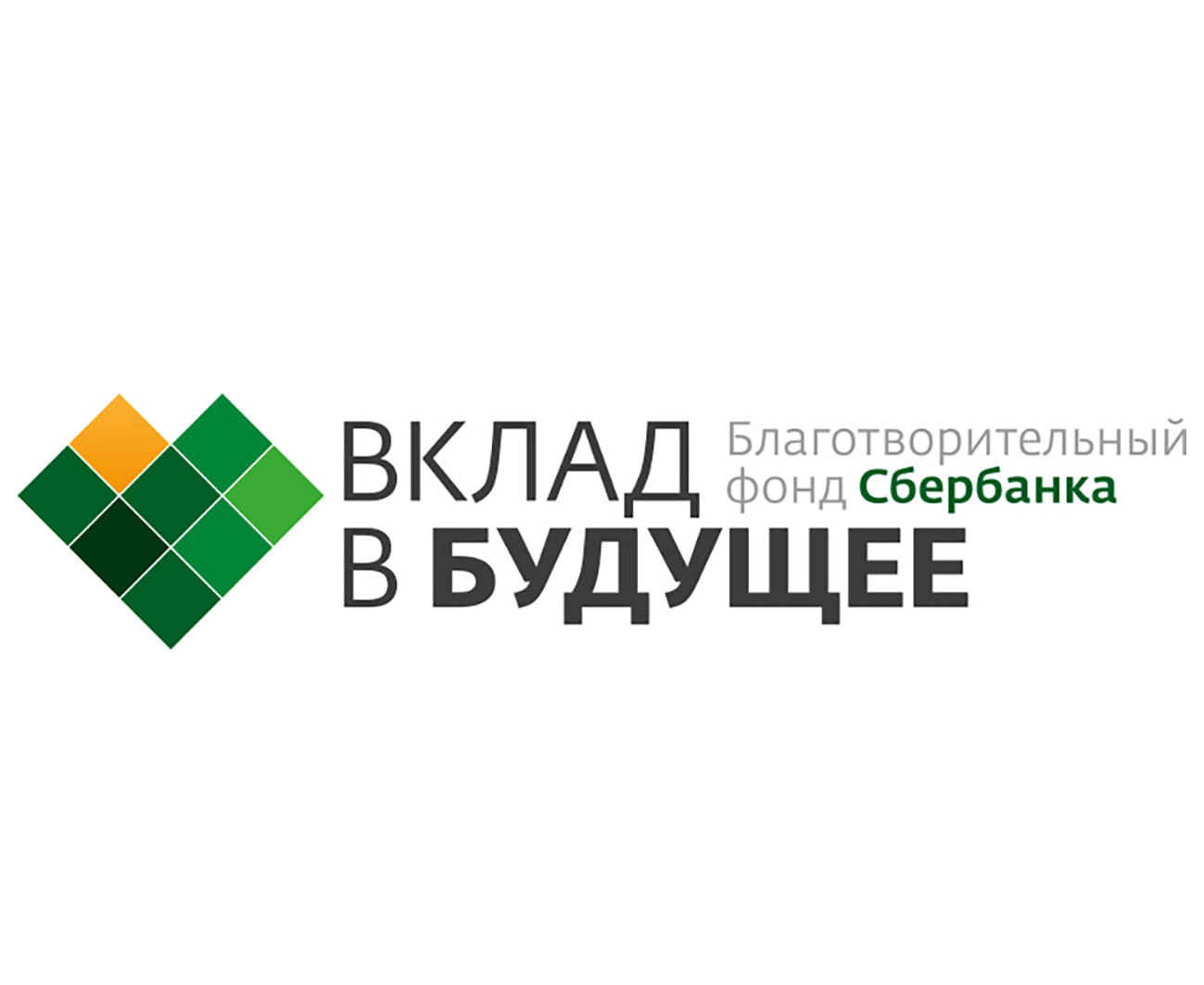 Проект вклад в будущее