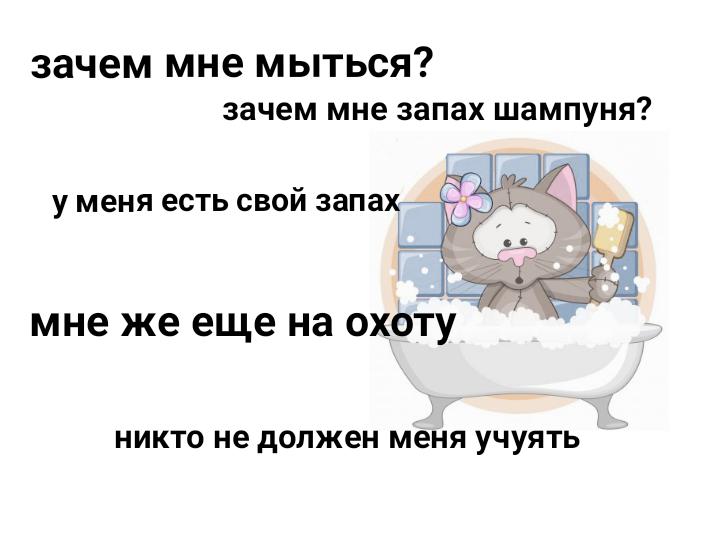 Почему мини