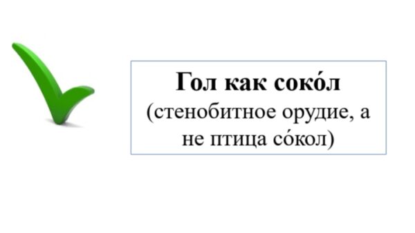 Предложения со словами со сложным ударением