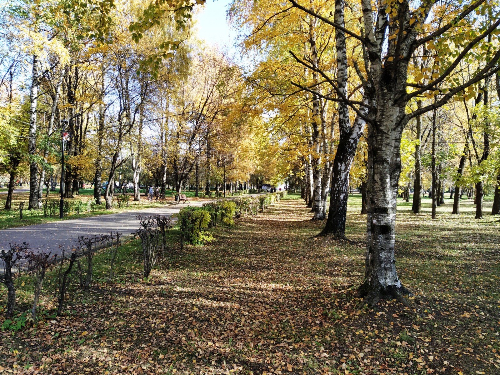 Погода ноябрь тюмень