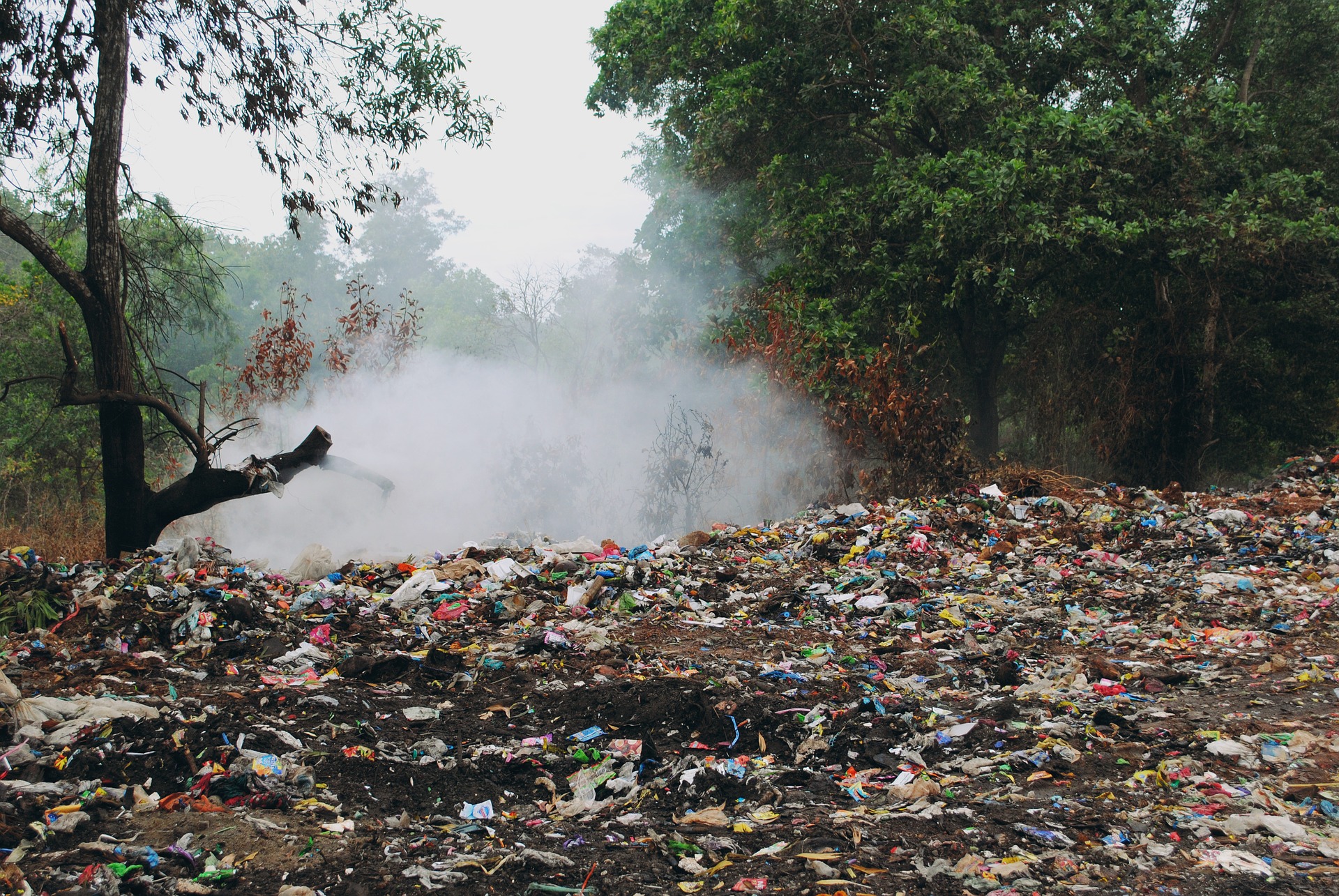 Загрязнение мусором окружающей среды
