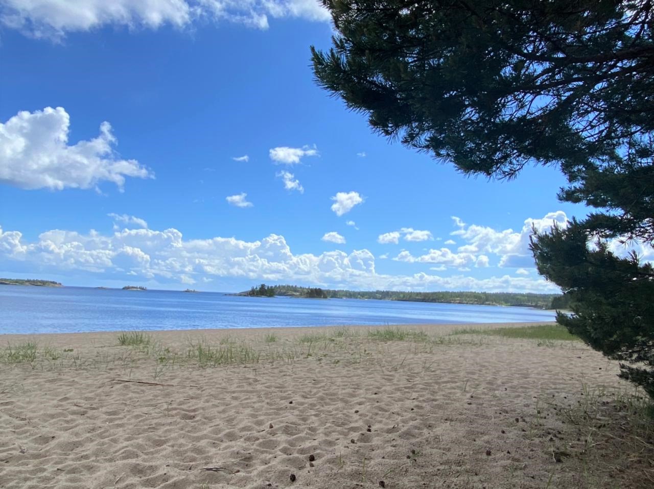 Стеклянные пляж на в пуэрто-рико. Поющий пляж. Поют на пляже. Поют на пляже. Манчестерский пляж фото.