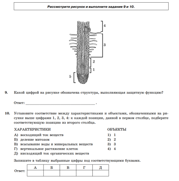 Все рисунки для егэ по биологии 2023