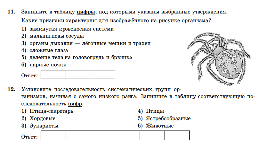 Обобщенный план варианта контрольно измерительных материалов является частью