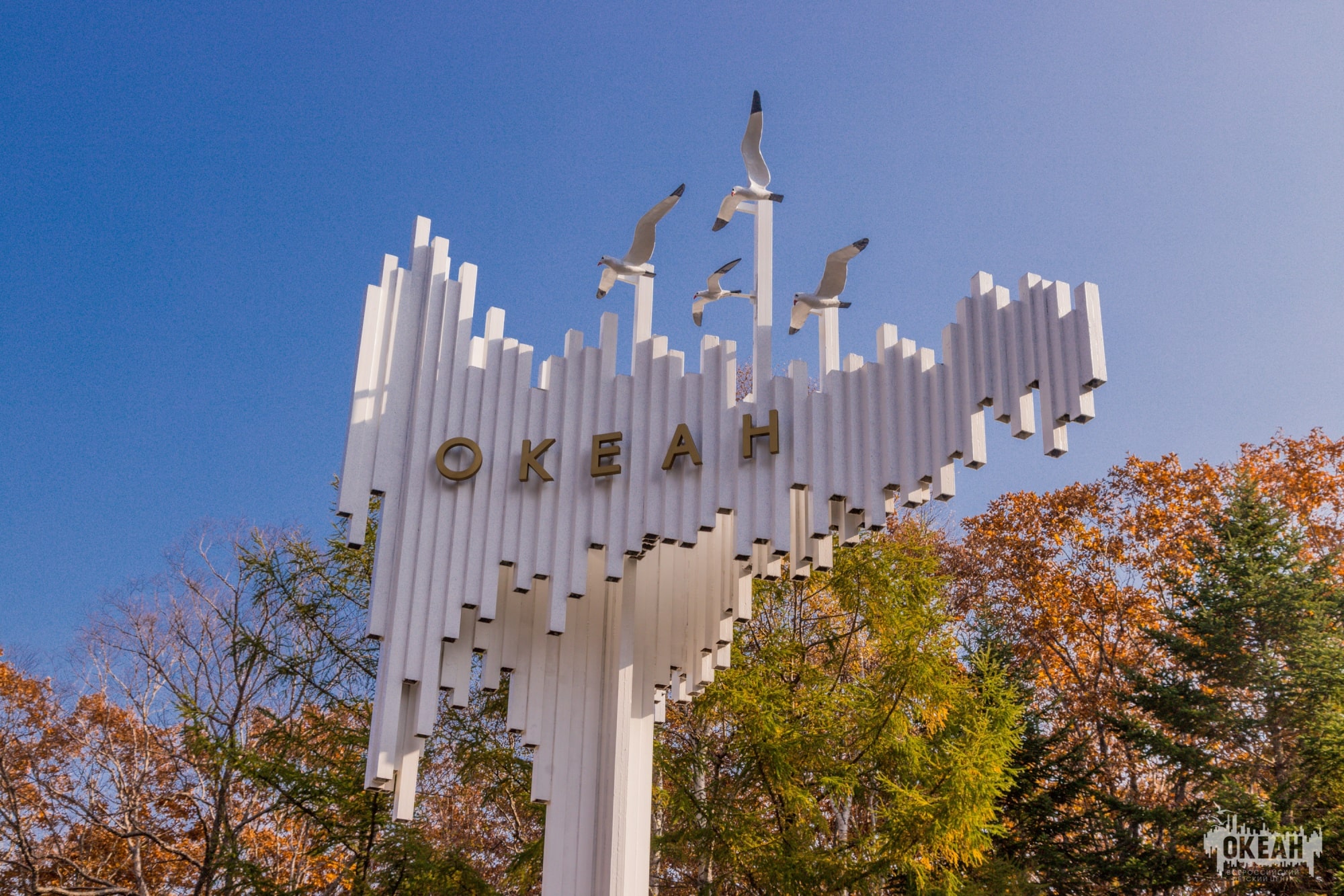 Фото всероссийский детский центр океан