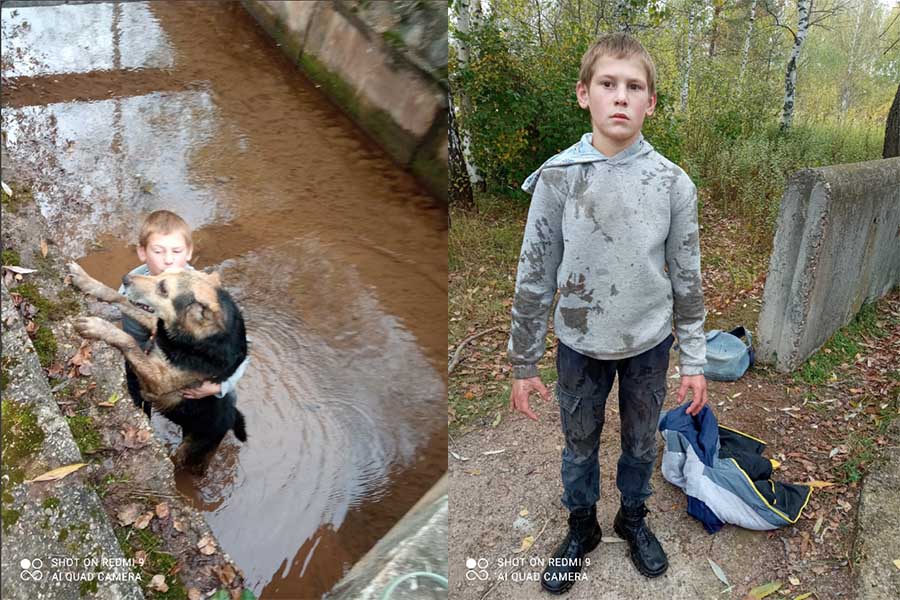 Мальчик спас волка из сетки. Мальчик спасает собаку из воды. Несовершеннолетний мальчик. Жители воды. Мальчик спас собаку из туалета Уржум.