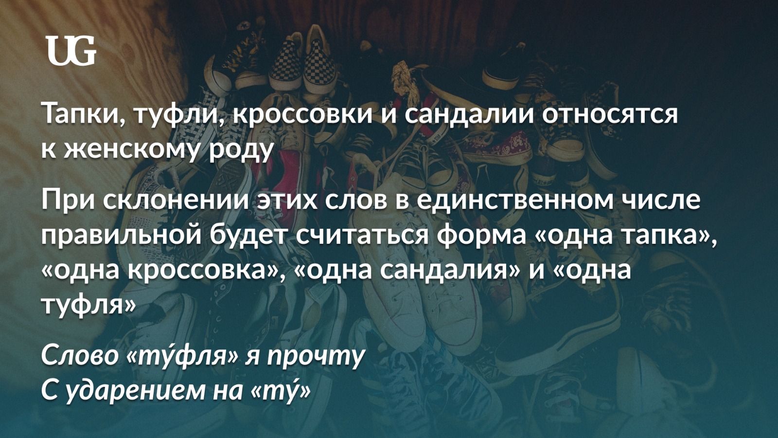 Языковая ловушка: в каких словах путают род даже грамотные люди –  Учительская газета