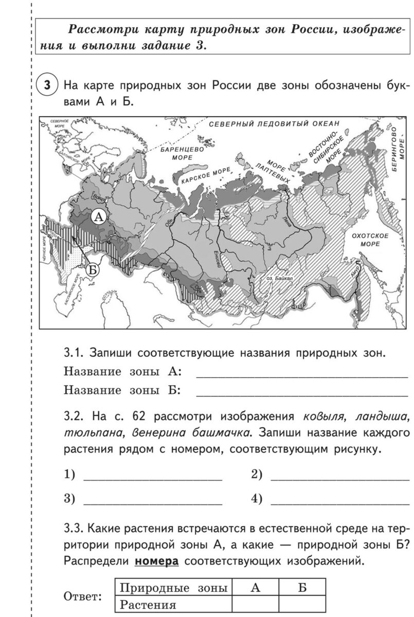 Готовим к ВПР выпускников начальной школы. Обсуждаем нестандартные задания  проверочных работ – Учительская газета